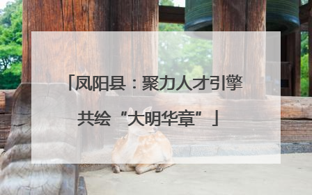 凤阳县：聚力人才引擎 共绘“大明华章”