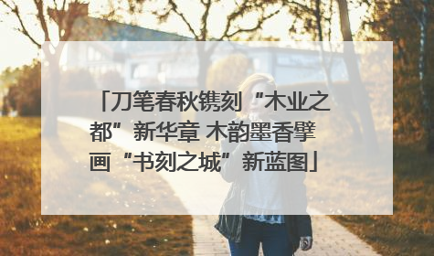 刀笔春秋镌刻“木业之都”新华章 木韵墨香擘画“书刻之城”新蓝图