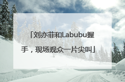 刘亦菲和Labubu握手，现场观众一片尖叫