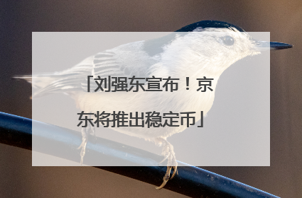 刘强东宣布！京东将推出稳定币