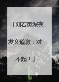 刘若英深夜发文道歉：对不起！