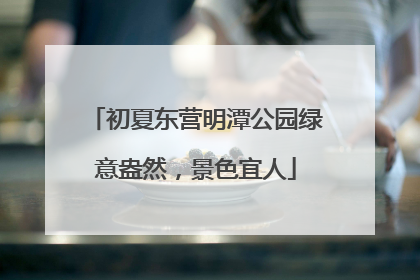 初夏东营明潭公园绿意盎然，景色宜人