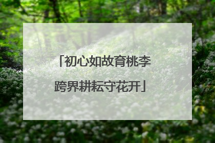 初心如故育桃李 跨界耕耘守花开