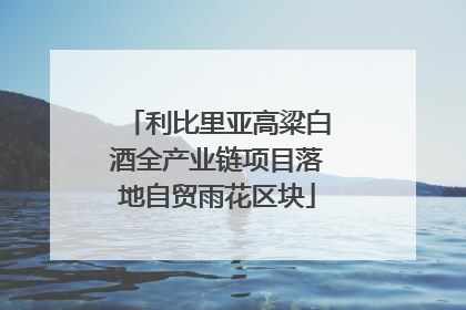 利比里亚高粱白酒全产业链项目落地自贸雨花区块