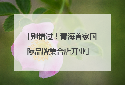 别错过！青海首家国际品牌集合店开业