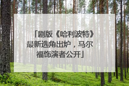 剧版《哈利波特》最新选角出炉，马尔福饰演者公开