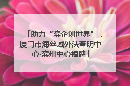 助力“滨企创世界”，厦门市海丝域外法查明中心·滨州中心揭牌