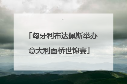 匈牙利布达佩斯举办意大利面桥世锦赛