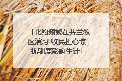 北约频繁在芬兰牧区演习 牧民担心惊扰驯鹿影响生计