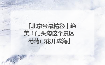 北京号最精彩｜绝美！门头沟这个景区芍药已花开成海