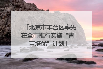 北京市丰台区率先在全市推行实施“青苗培优”计划