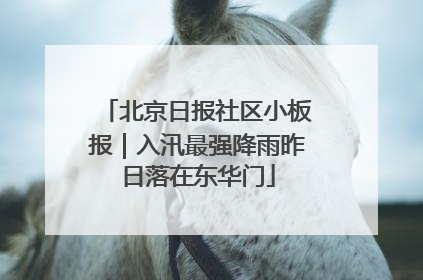 北京日报社区小板报｜入汛最强降雨昨日落在东华门
