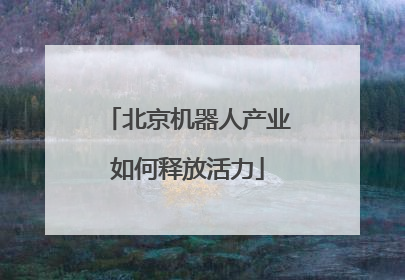 北京机器人产业如何释放活力