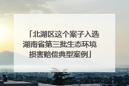 北湖区这个案子入选湖南省第三批生态环境损害赔偿典型案例