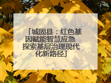 城固县：红色基因赋能智慧应急 探索基层治理现代化新路径