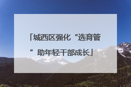 城西区强化“选育管”助年轻干部成长