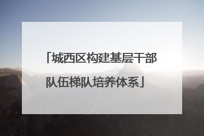 城西区构建基层干部队伍梯队培养体系