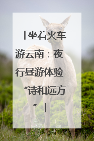 坐着火车游云南：夜行昼游体验“诗和远方”