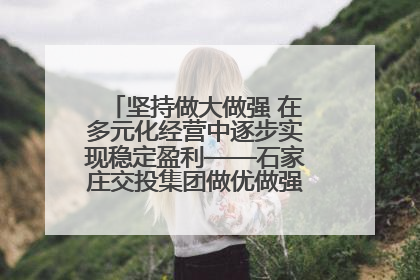 坚持做大做强 在多元化经营中逐步实现稳定盈利——石家庄交投集团做优做强典型报道之三