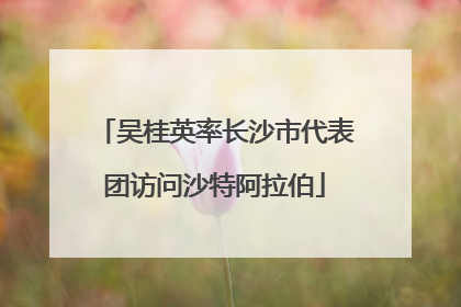 吴桂英率长沙市代表团访问沙特阿拉伯
