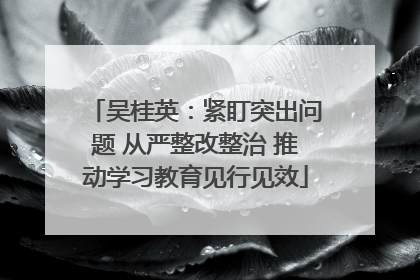 吴桂英：紧盯突出问题 从严整改整治 推动学习教育见行见效