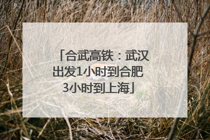 合武高铁：武汉出发1小时到合肥3小时到上海