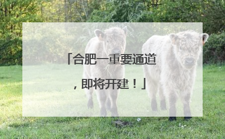 合肥一重要通道，即将开建！