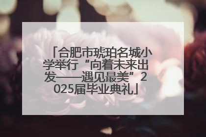 合肥市琥珀名城小学举行“向着未来出发——遇见最美”2025届毕业典礼