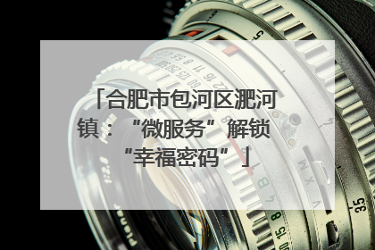 合肥市包河区淝河镇：“微服务”解锁“幸福密码”