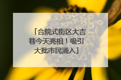 合院式街区大吉巷今天亮相！吸引大批市民涌入