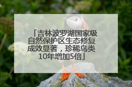 吉林波罗湖国家级自然保护区生态修复成效显著，珍稀鸟类10年增加5倍