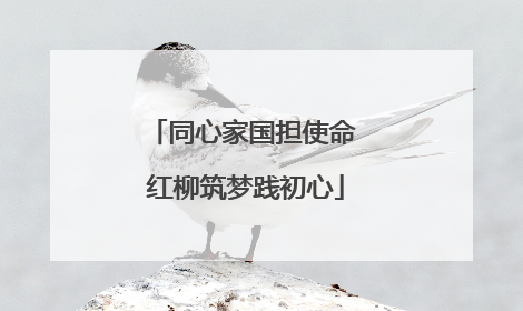 同心家国担使命 红柳筑梦践初心