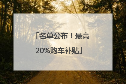 名单公布！最高20%购车补贴