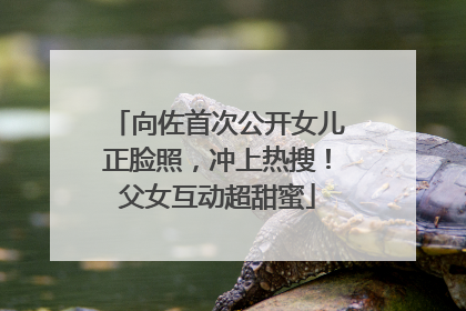 向佐首次公开女儿正脸照，冲上热搜！父女互动超甜蜜