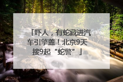 吓人，有蛇藏进汽车引擎盖！北京9天接9起“蛇警”