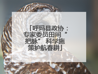 呼玛县政协：专家委员田间“把脉” 科学施策护航春耕
