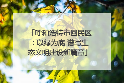 呼和浩特市回民区：以绿为底 谱写生态文明建设新篇章