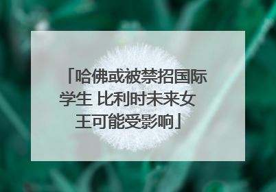 哈佛或被禁招国际学生 比利时未来女王可能受影响