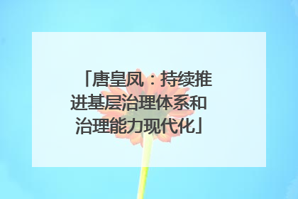 唐皇凤：持续推进基层治理体系和治理能力现代化