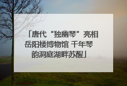 唐代“独幽琴”亮相岳阳楼博物馆 千年琴韵洞庭湖畔苏醒