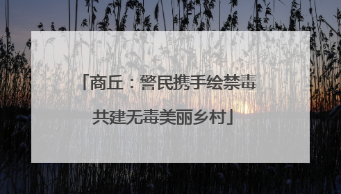商丘：警民携手绘禁毒 共建无毒美丽乡村