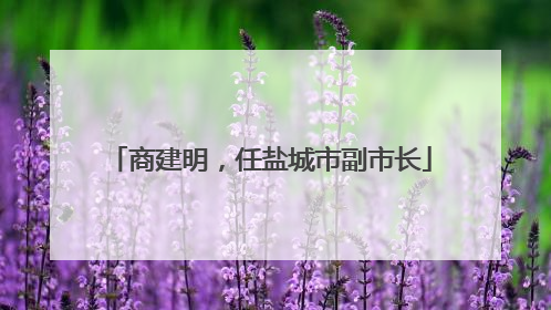 商建明，任盐城市副市长