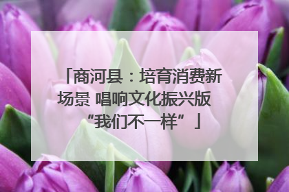 商河县：培育消费新场景 唱响文化振兴版“我们不一样”
