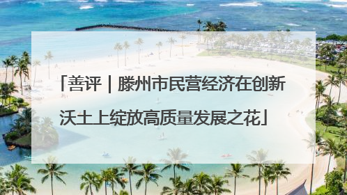 善评｜滕州市民营经济在创新沃土上绽放高质量发展之花