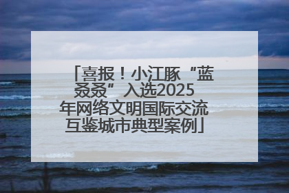 喜报！小江豚“蓝叒叒”入选2025年网络文明国际交流互鉴城市典型案例