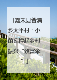 嘉禾县普满乡太平村：小菌菇撑起乡村振兴“致富伞”