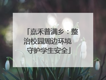 嘉禾普满乡：整治校园周边环境 守护学生安全