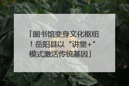图书馆变身文化枢纽！岳阳县以“讲堂+”模式激活传统基因