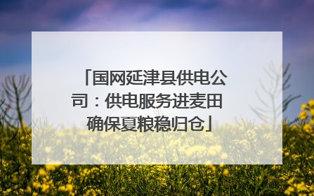国网延津县供电公司：供电服务进麦田 确保夏粮稳归仓