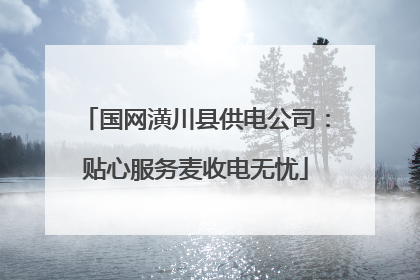 国网潢川县供电公司：贴心服务麦收电无忧